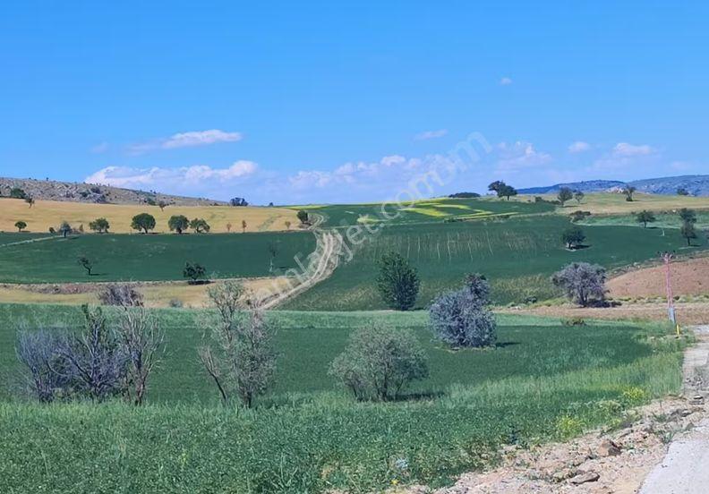 AKYURT HAYDAR’DA ASFALTA SIFIR 6.483 M² YATIRIMLIK PARSEL - Görünüm 3
