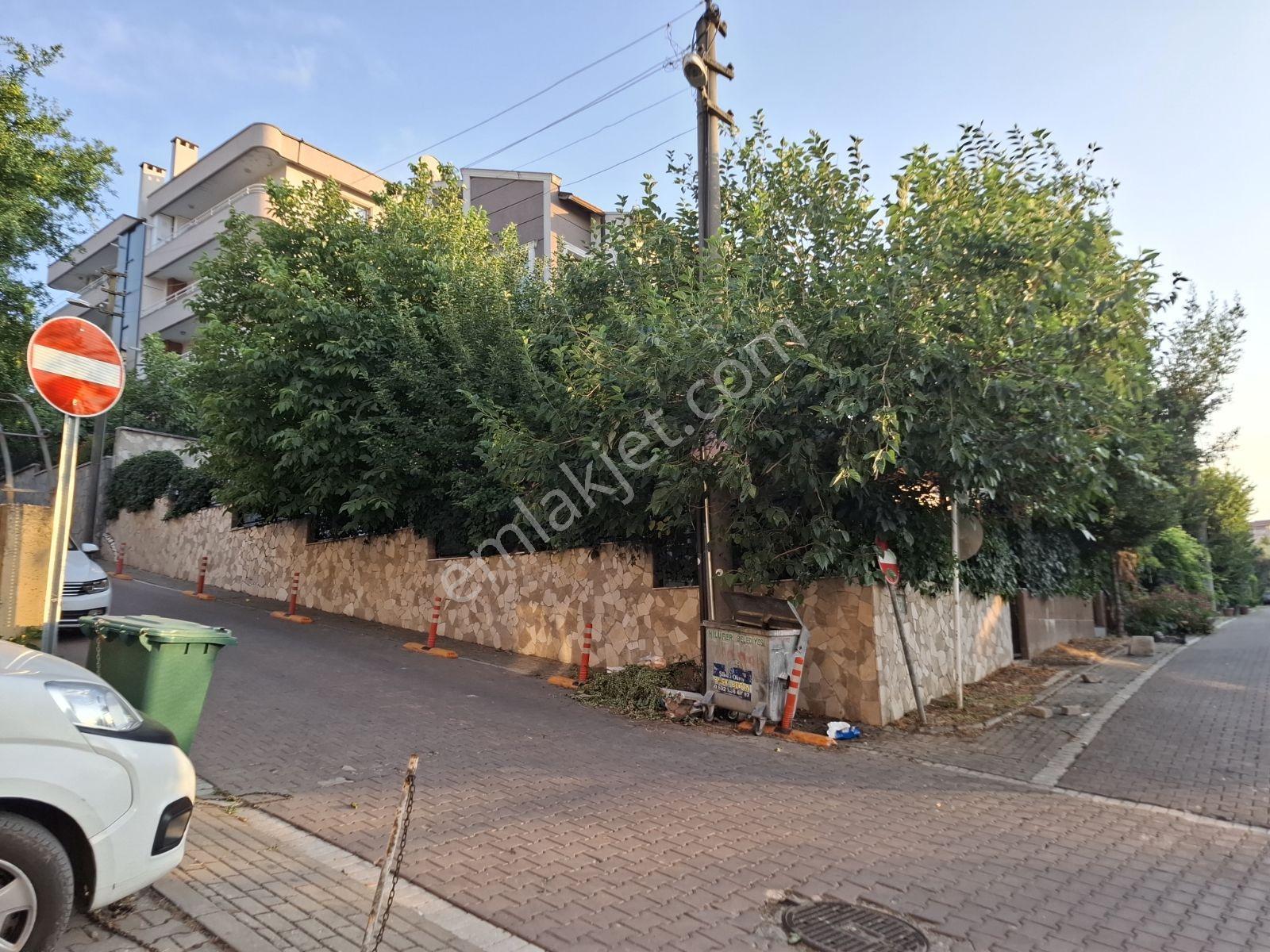 House in Nilüfer, Konak