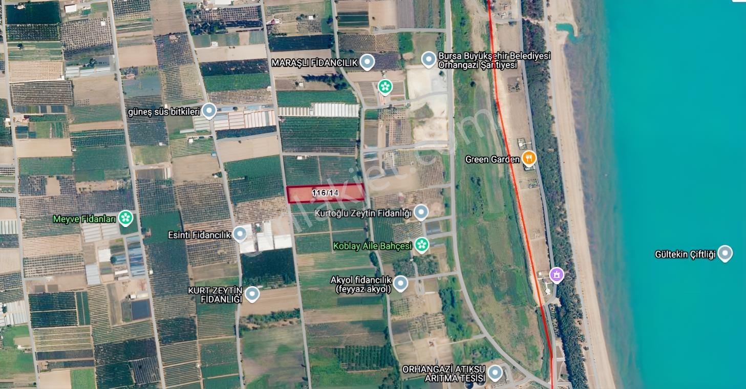 ORHANGAZİ ÖRNEKKÖY'DE | GÖLE 600 METRE YOLA CEPHE 9.400 M² TARLA - Görünüm 2