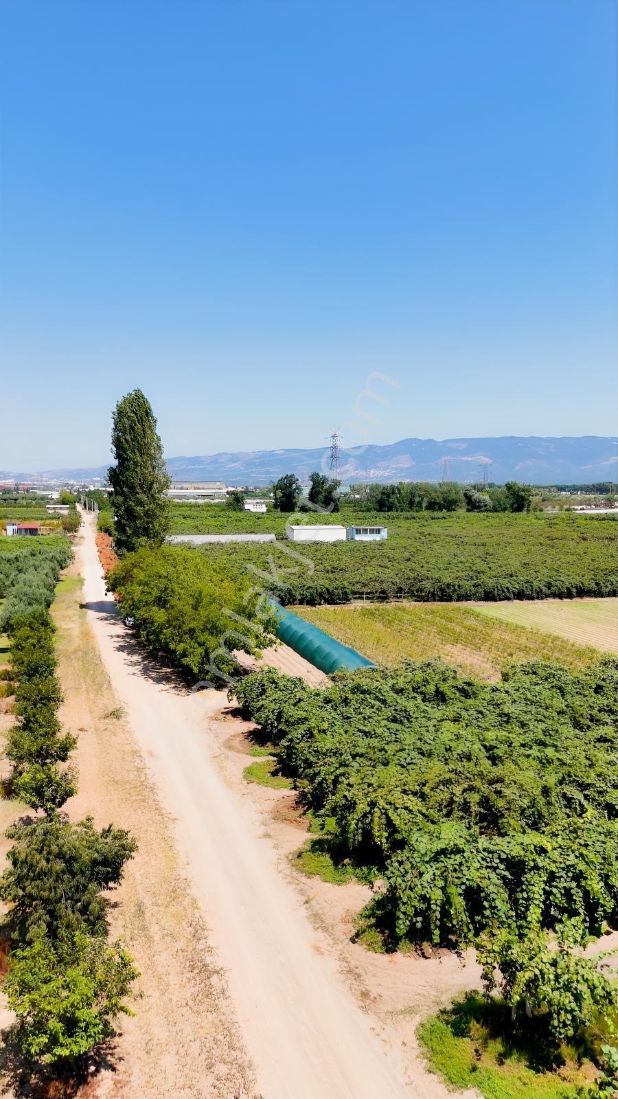 ORHANGAZİ ÖRNEKKÖY'DE | GÖLE 600 METRE YOLA CEPHE 9.400 M² TARLA - Görünüm 3