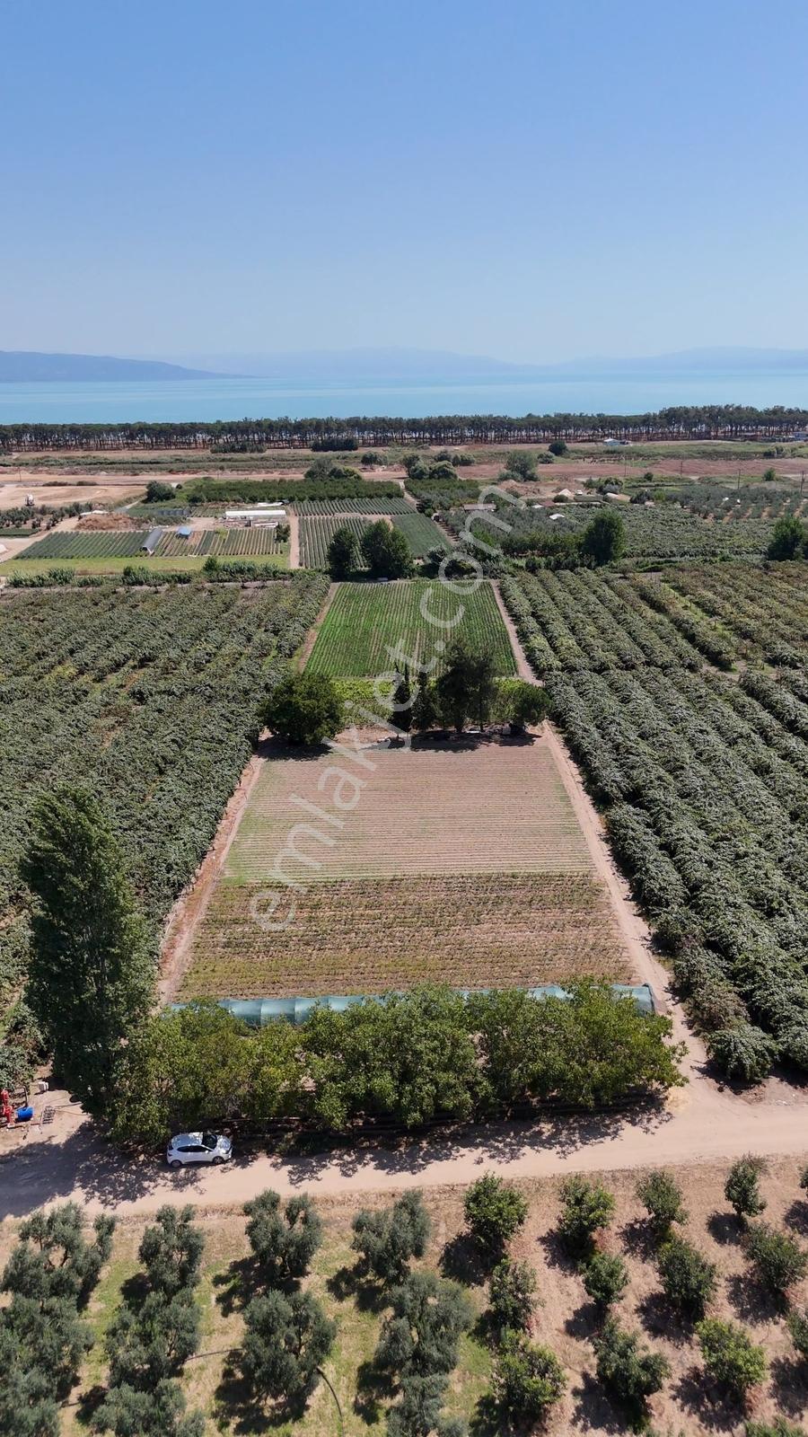 ORHANGAZİ ÖRNEKKÖY'DE | GÖLE 600 METRE YOLA CEPHE 9.400 M² TARLA - Görünüm 5