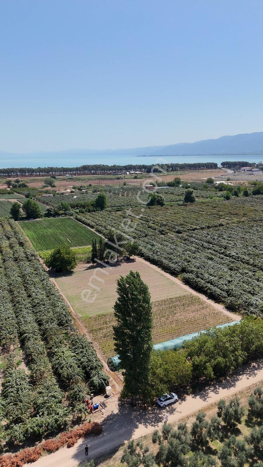 ORHANGAZİ ÖRNEKKÖY'DE | GÖLE 600 METRE YOLA CEPHE 9.400 M² TARLA
