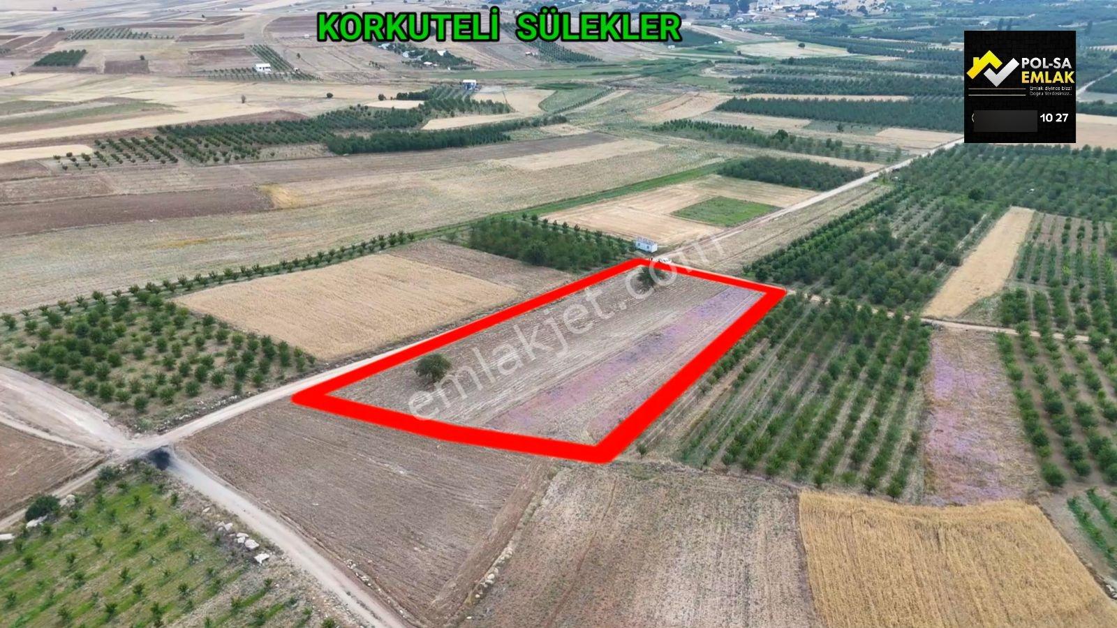 ANTALYA KORKUTELİ SÜLEKLER DE SATILIK 5.998M2 TARLA - Görünüm 3