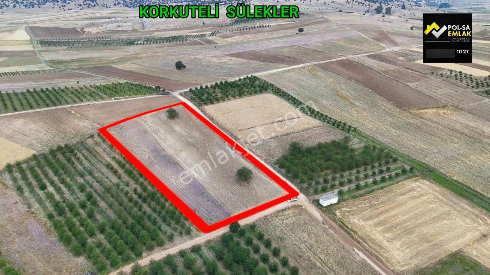 ANTALYA KORKUTELİ SÜLEKLER DE SATILIK 5.998M2 TARLA - Görünüm 2