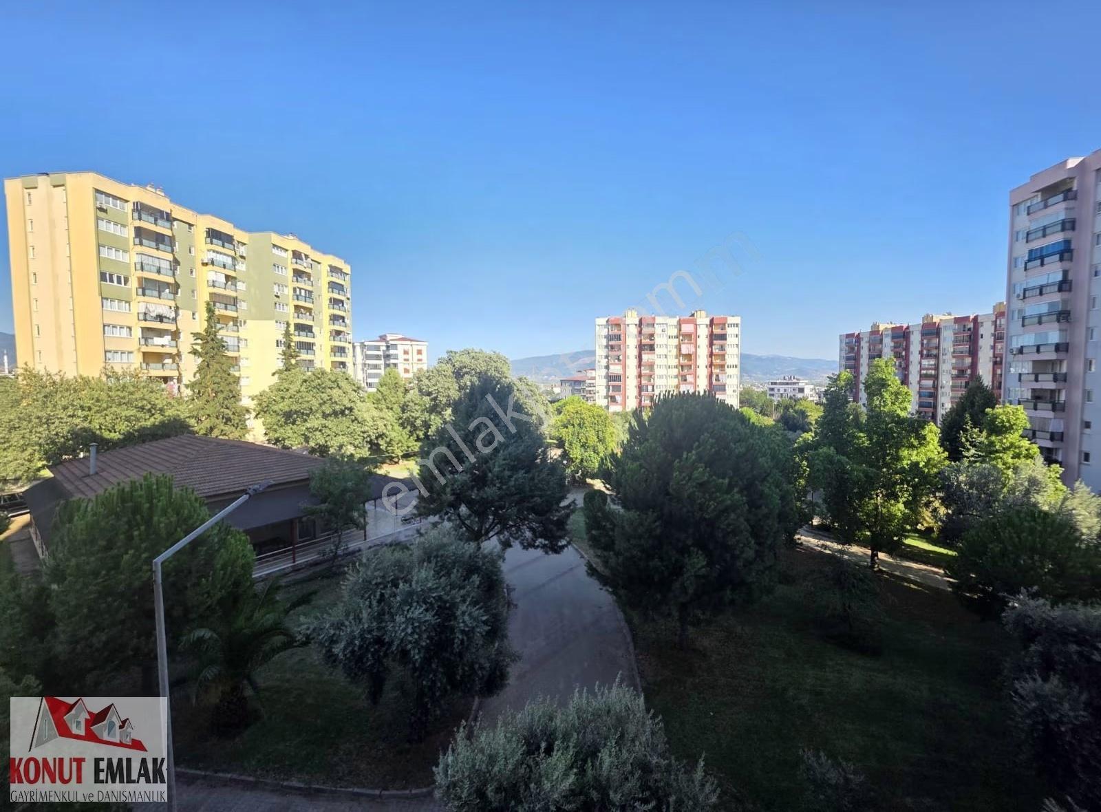 Daire – Aydın - Daha fazla