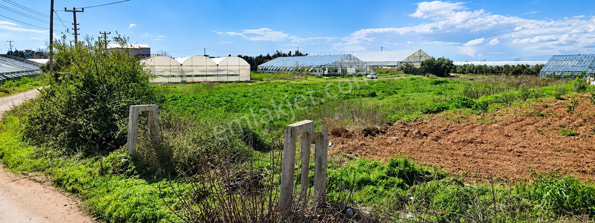 AKSU TOPALLI'DA ISPARTA YOLUNA 150M ACİL SATILIK - Görünüm 3