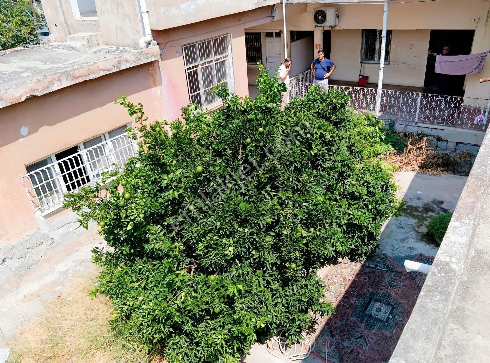 Ev – Adana - Görünüm 5
