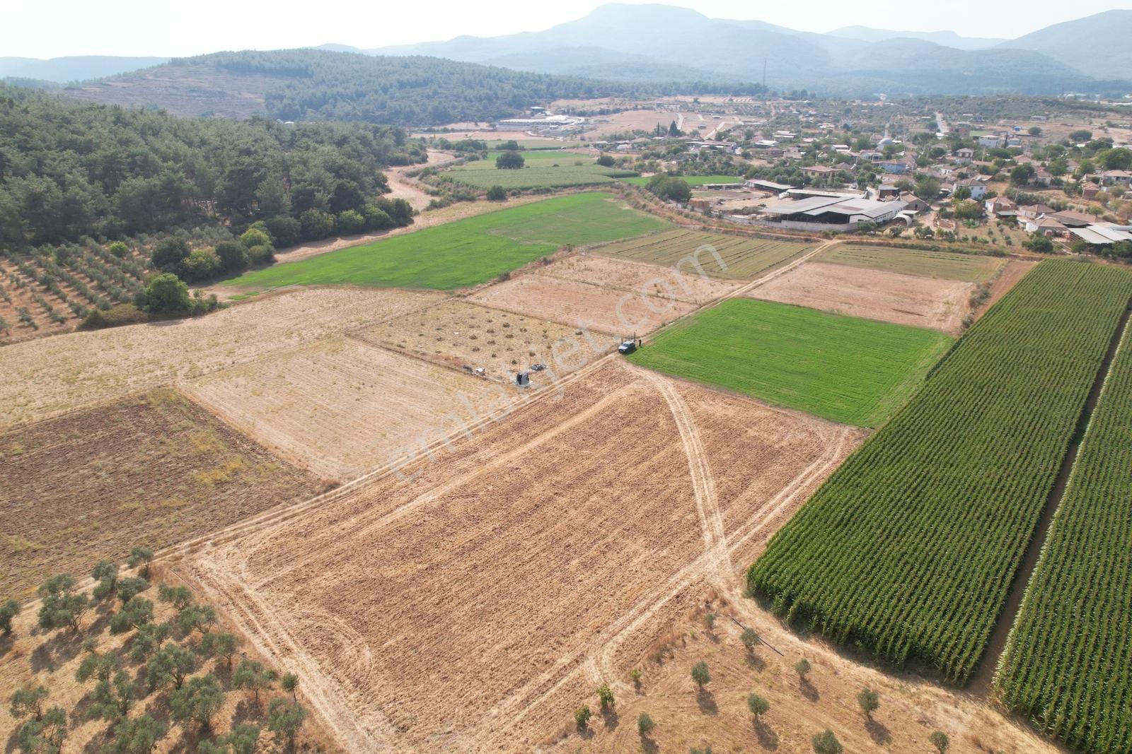 Pasifikten Menderes Çakaltepede Satılık 4.752 M² Tek Tapu Tarla
