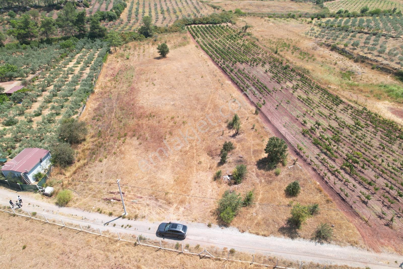 Pasifik'ten Menderes Yeniköy Köy Yerleşim Yakını 7103 M² Arazi