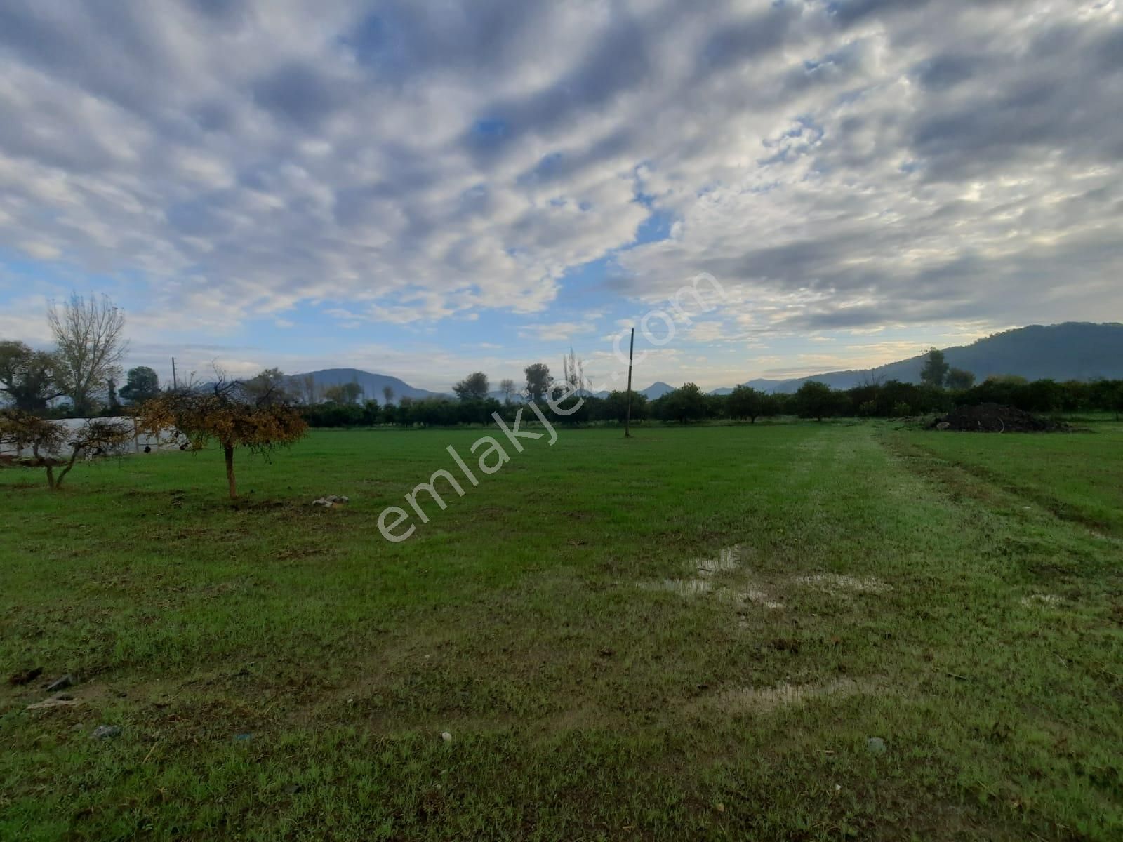 Ortaca Okçular Da Satılık 1 500 M2 Yatırıma Uygun Arsa - Görsel 7