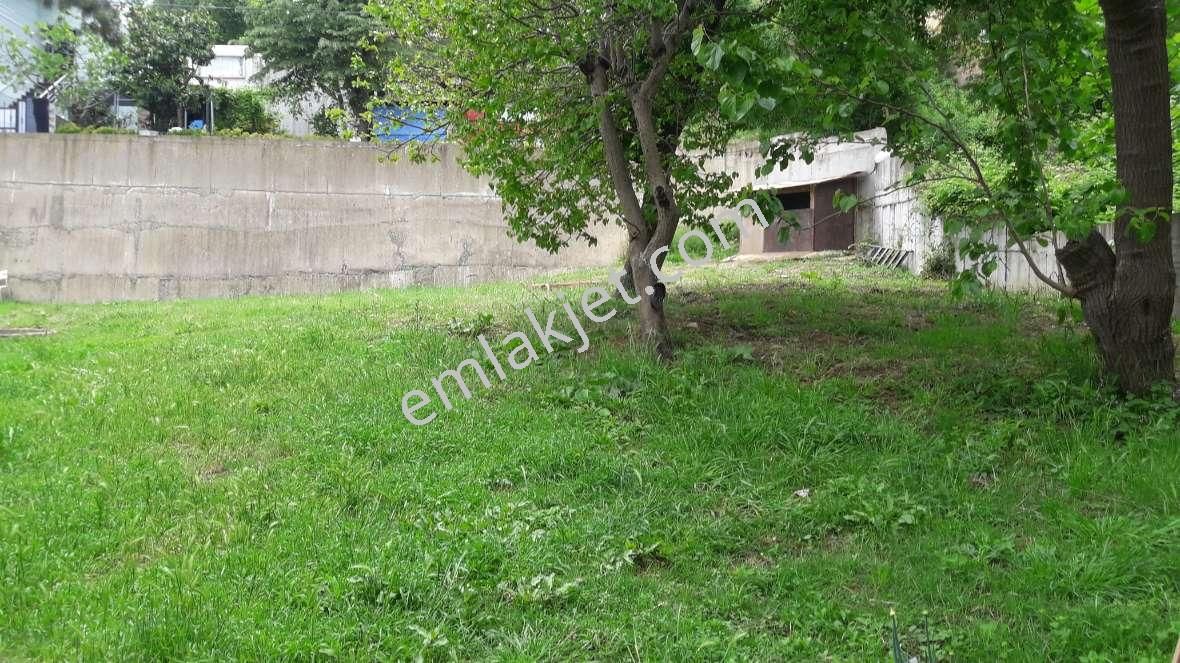 Büyükdere'de Müstakil Bahçeli 41112000 Milyon Tl - Görsel 12