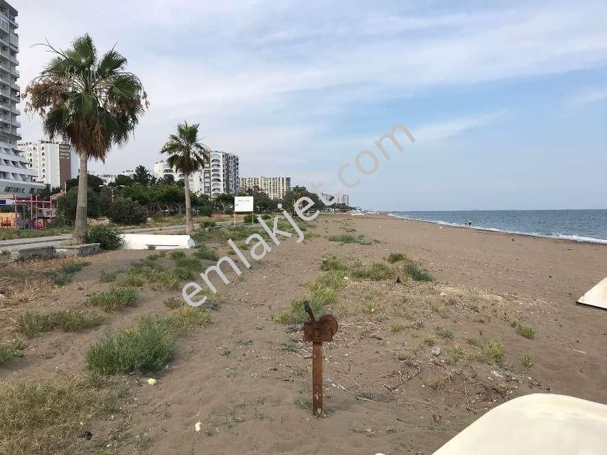 Denize 0 Yazlık Havuz Sosyal Tesis Kuzey Cephe - Görsel 3