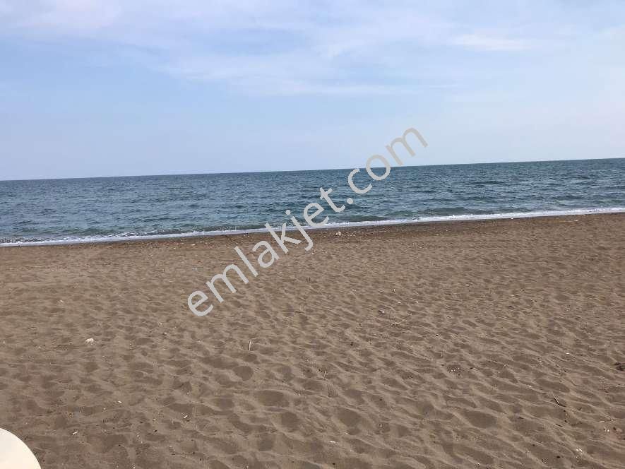 Denize 0 Yazlık Havuz Sosyal Tesis Kuzey Cephe - Görsel 2