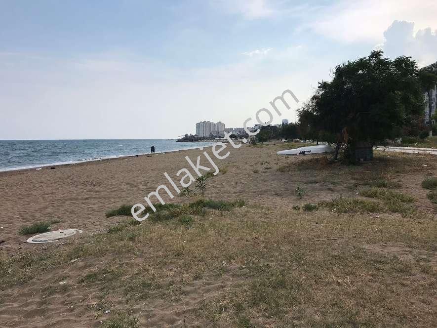 Denize 0 Yazlık Havuz Sosyal Tesis Kuzey Cephe - Görsel 6