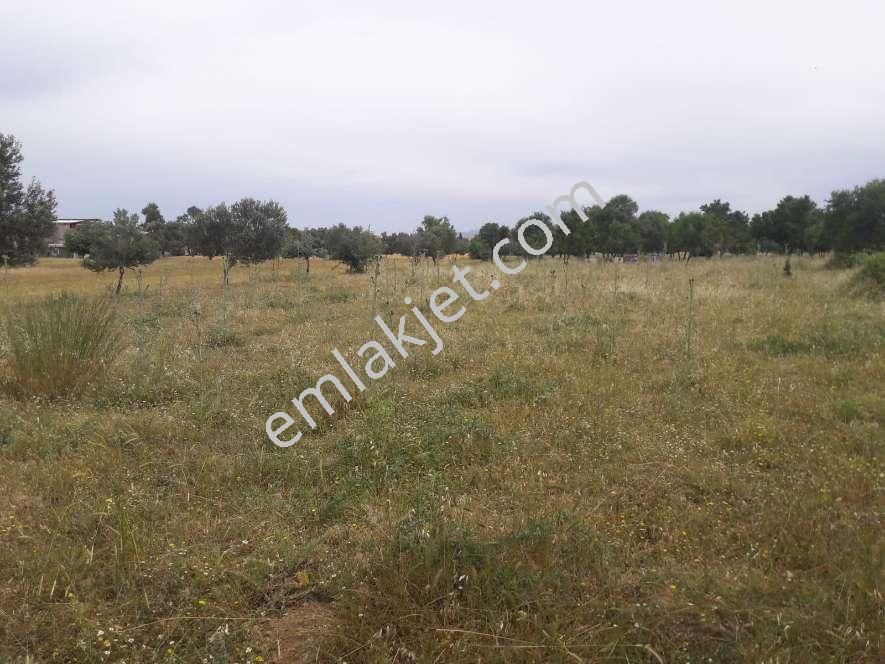 Koyuncu Group Tan Görece De Sanayi Ve Konut İmarlı Satılık Arsa - Görsel 13