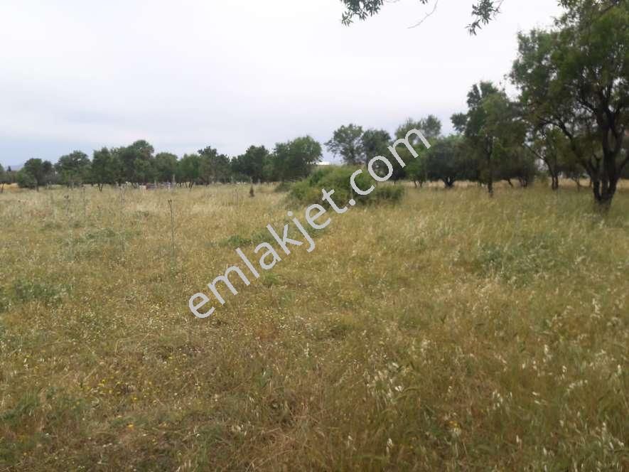 Koyuncu Group Tan Görece De Sanayi Ve Konut İmarlı Satılık Arsa - Görsel 2