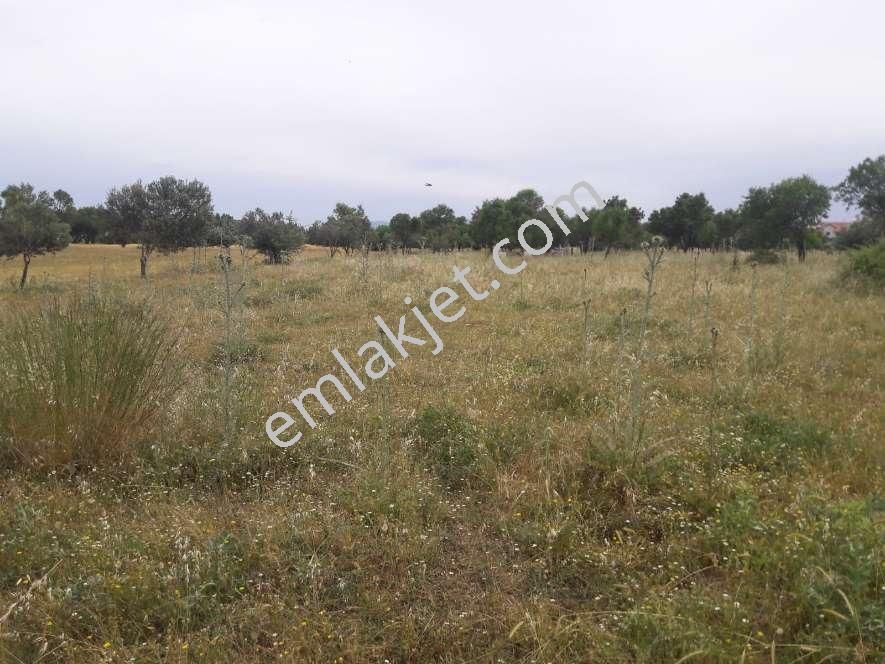 Koyuncu Group Tan Görece De Sanayi Ve Konut İmarlı Satılık Arsa - Görsel 8