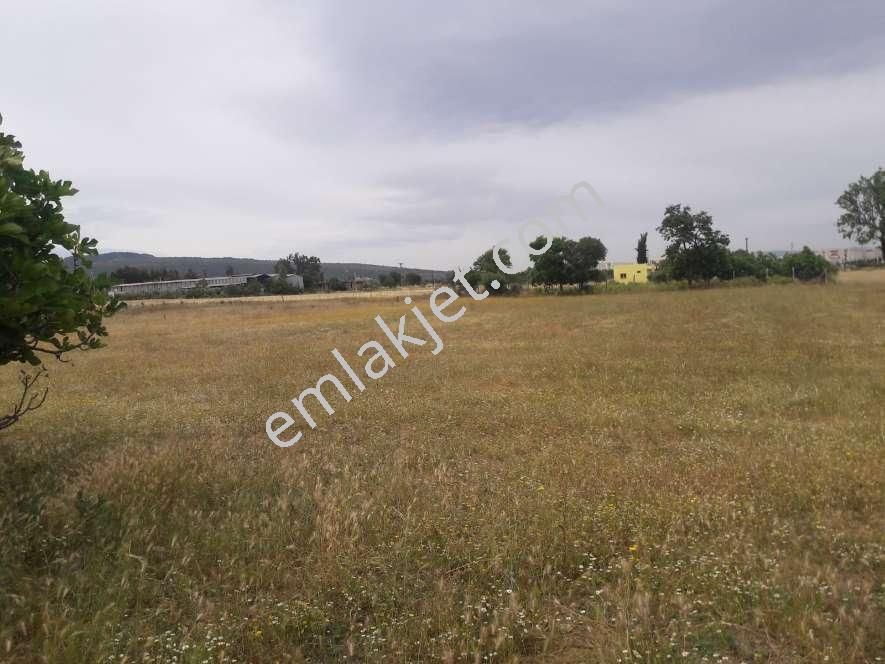 Koyuncu Group Tan Görece De Sanayi Ve Konut İmarlı Satılık Arsa - Görsel 6