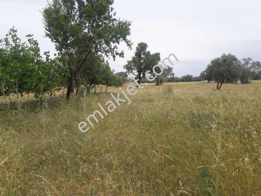 Koyuncu Group Tan Görece De Sanayi Ve Konut İmarlı Satılık Arsa - Görsel 5