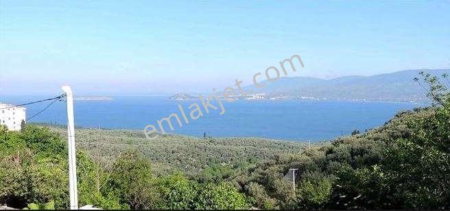 Erdek Edincik Yol Üstü Satlık 1861 M2 - Görsel 8