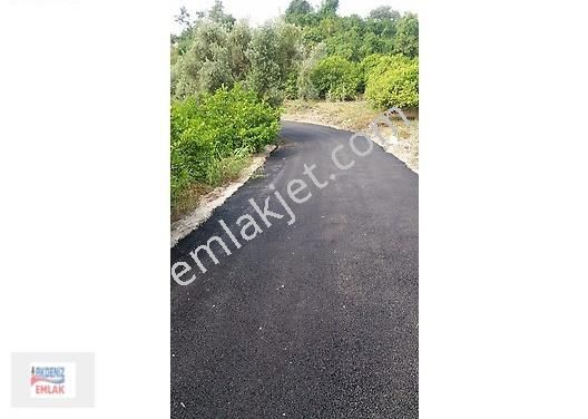Mersin-erdemli-arpaçbahşiş De Acill Satılık Limon Bahçesi - Görsel 14