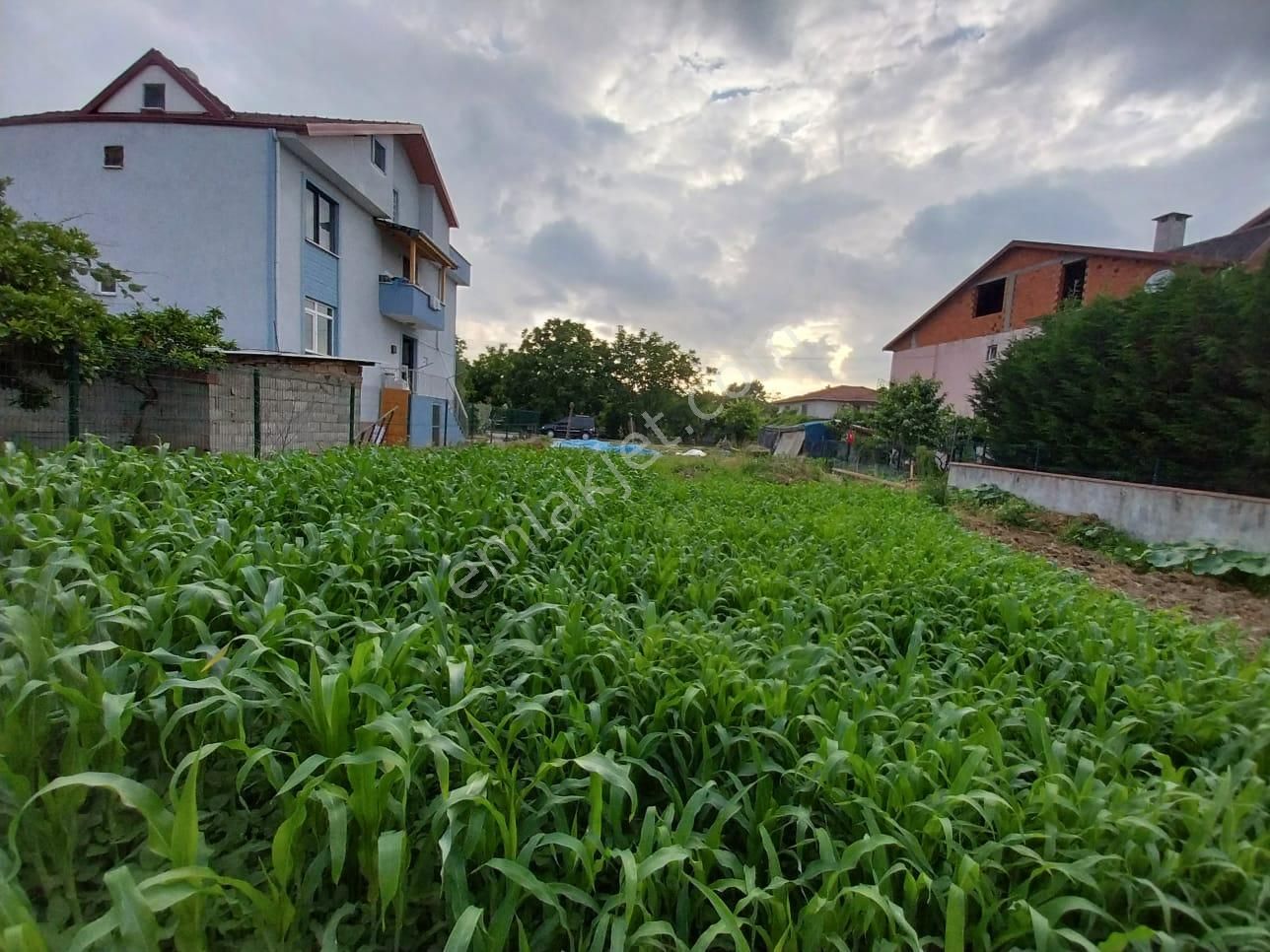 Kocaeli Gölcük İhsaniye Çiftlik Mah. Satılık 475 M² Arsa - Görsel 8