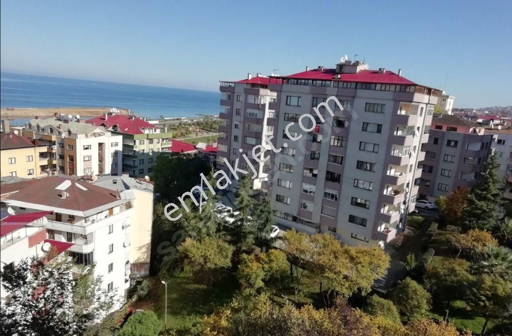 Trabzon Satilik Daire Ilanlari Ve Fiyatlari