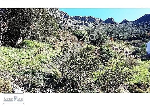 Turgutreis Te Marina Ve Adalar Manzaralı 1000 M2 İmarlı Arsa - Görsel 4