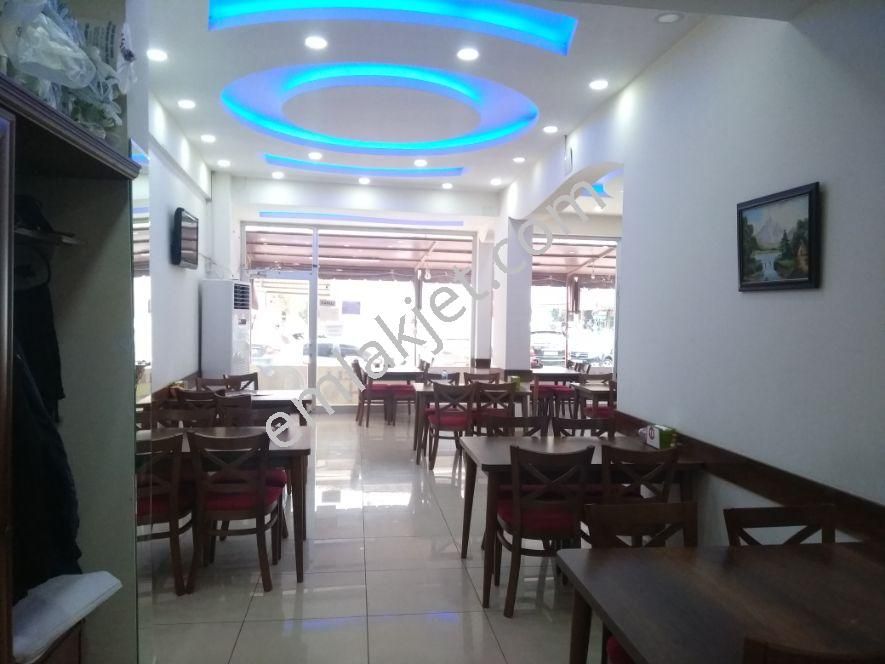 Antakya Icinde Ikinci El Satilik Bambu Bahce Sandalye Masa