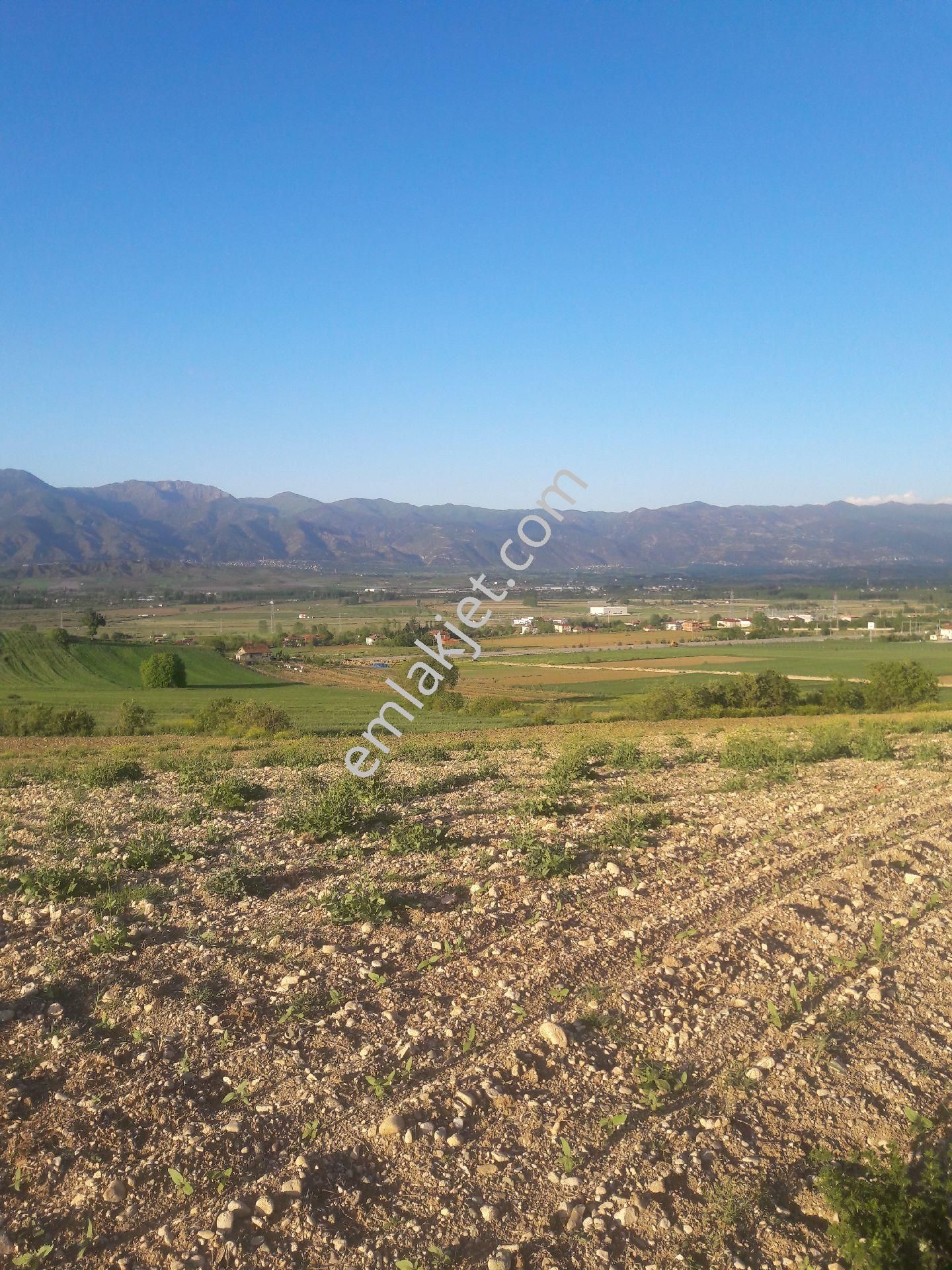 emlakcidan tokat erbaa evyaba mahallesi satilik tarla 400 000 tl 7947984 emlakcidan tokat erbaa evyaba mahallesi satilik tarla 400 000 tl 7947984