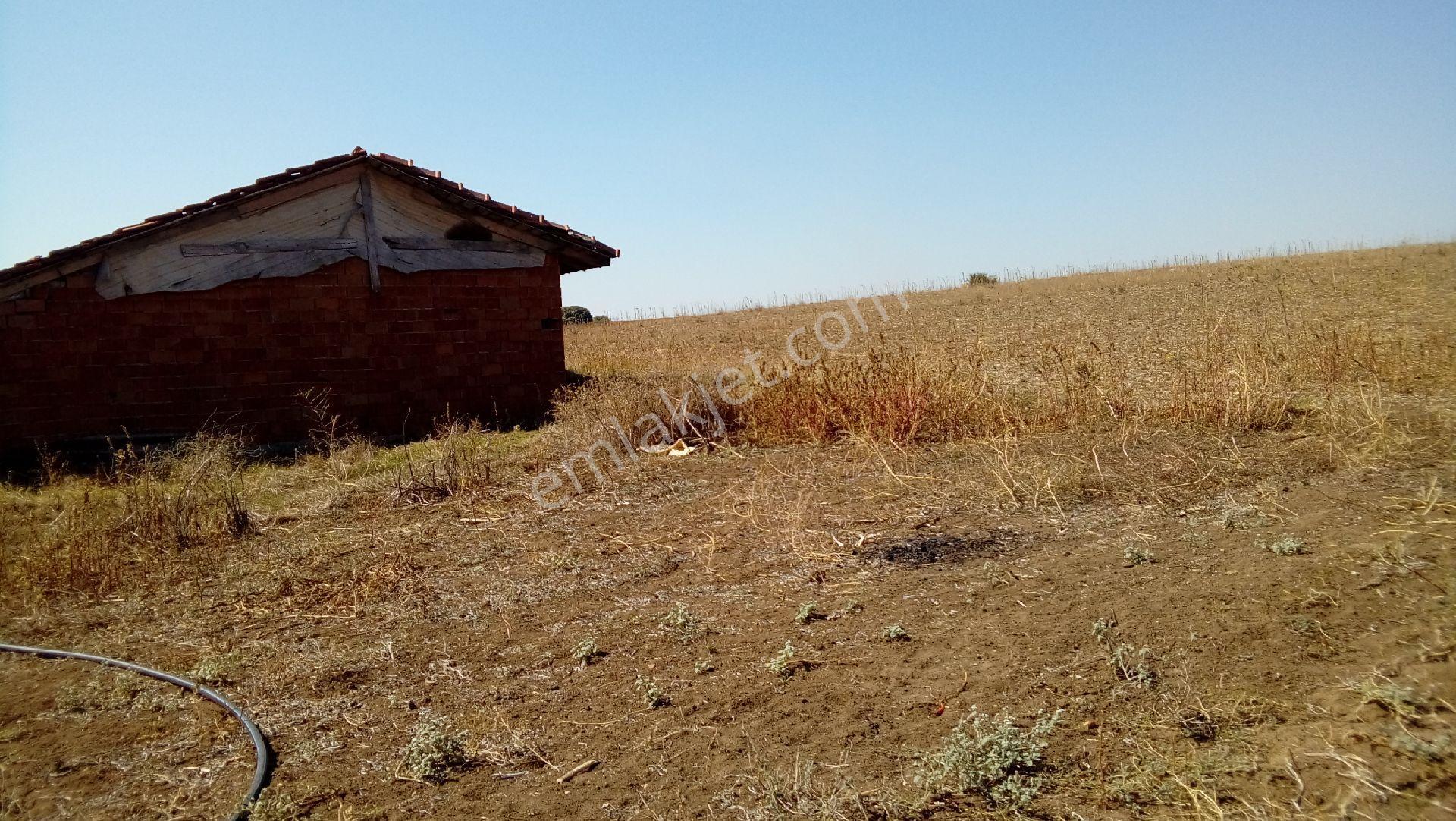 Ķüçükbaş Hayvancılık Yapmak İsteyenlere Meraya Sıfır Konumda Çiftlik - Görsel 13