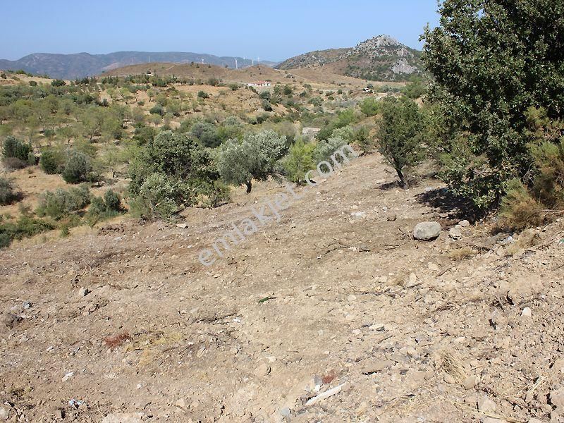 Ağa İnşaat Emlak'tan Hızırşah Ana Yolda Satılık 11 Dönüm Tarla - Görsel 4