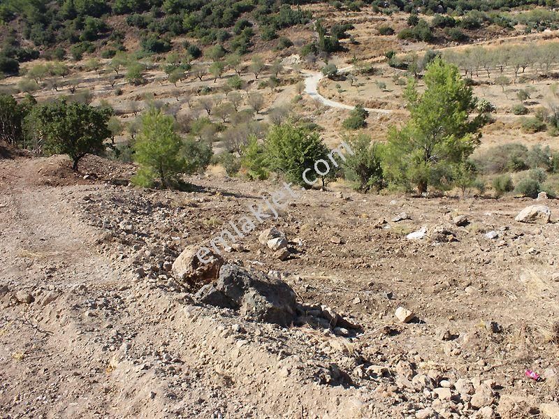 Ağa İnşaat Emlak'tan Hızırşah Ana Yolda Satılık 11 Dönüm Tarla - Görsel 3
