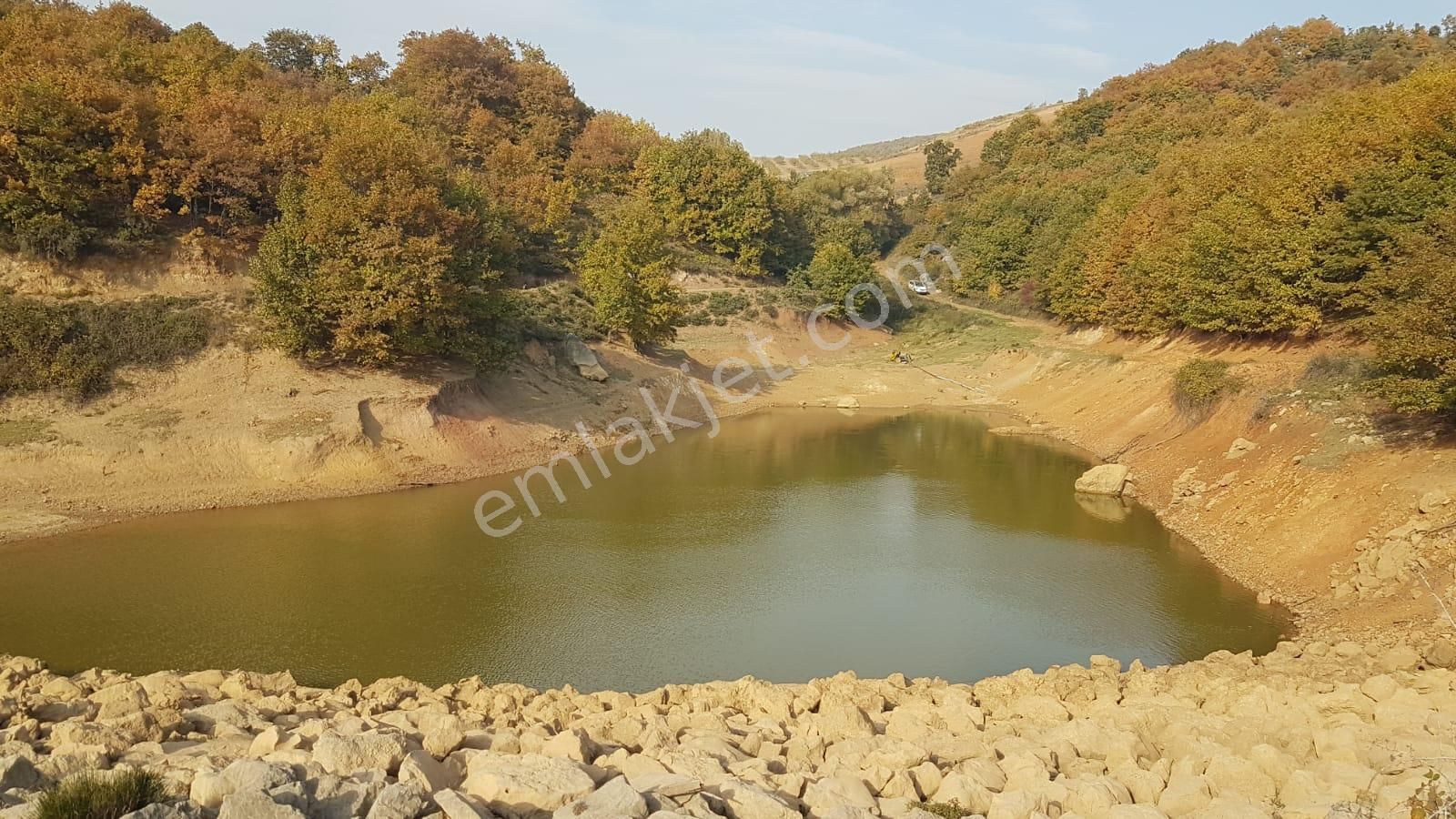 Bursa İznik Yörükler Köyü Satılık Tarla 20000 M2 - Görsel 3