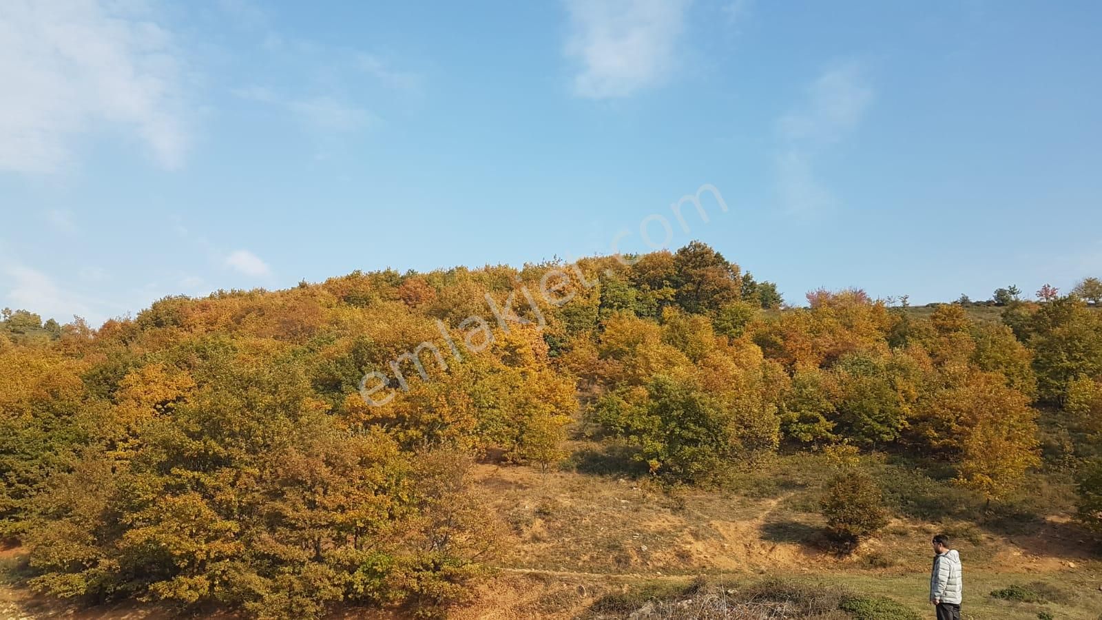 Bursa İznik Yörükler Köyü Satılık Tarla 20000 M2 - Görsel 6