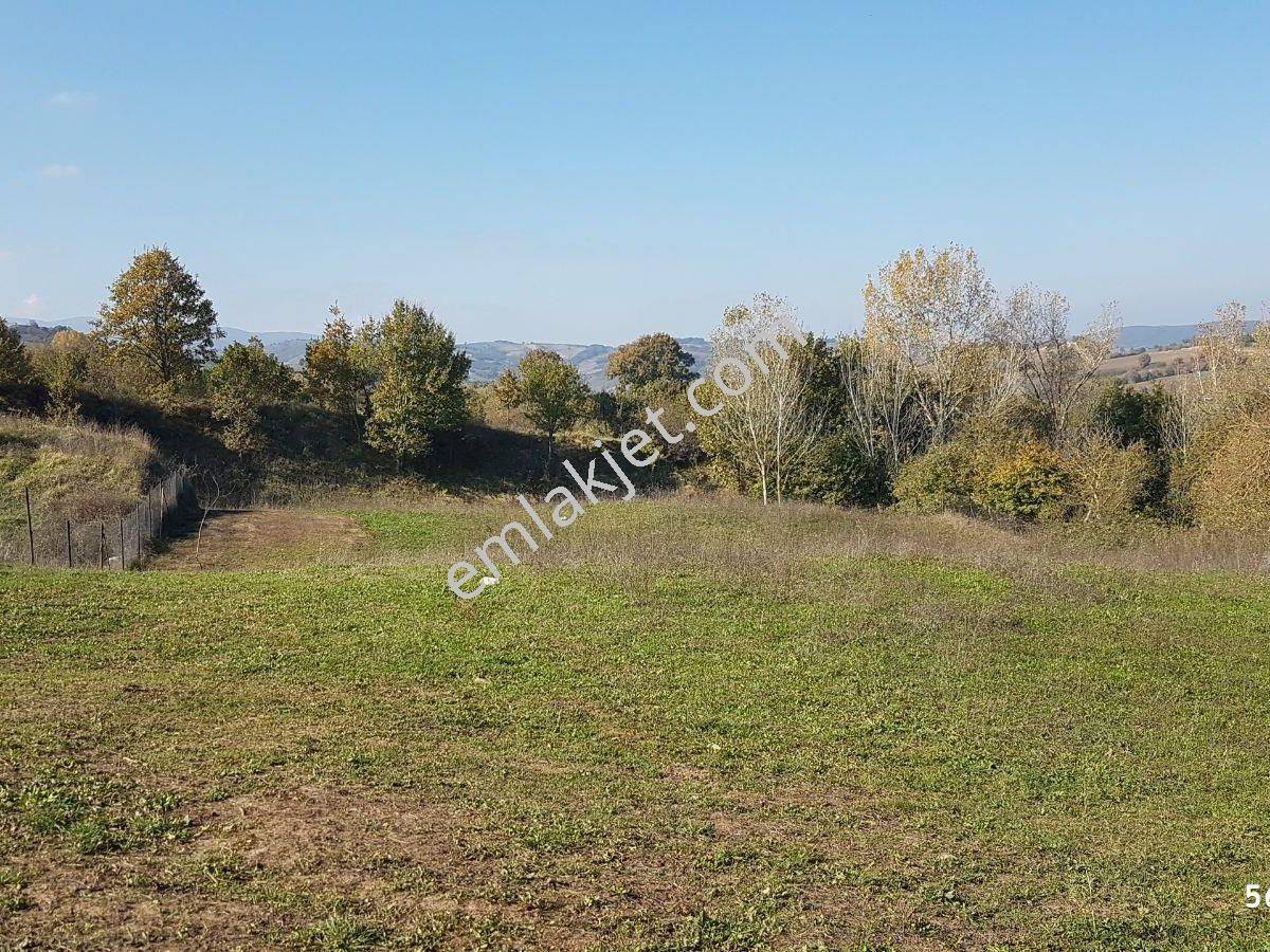 Uzmanlar'dan Satılık Tarla 2530 M2 Kocaeli Karamürsel Yalakdere