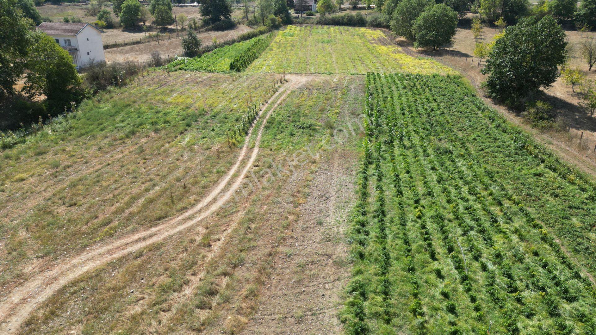 Kocaeli Karamürsel Valideköprü 10.433 M² Yatırımlık Konut İmarlı Parsel - Görsel 8