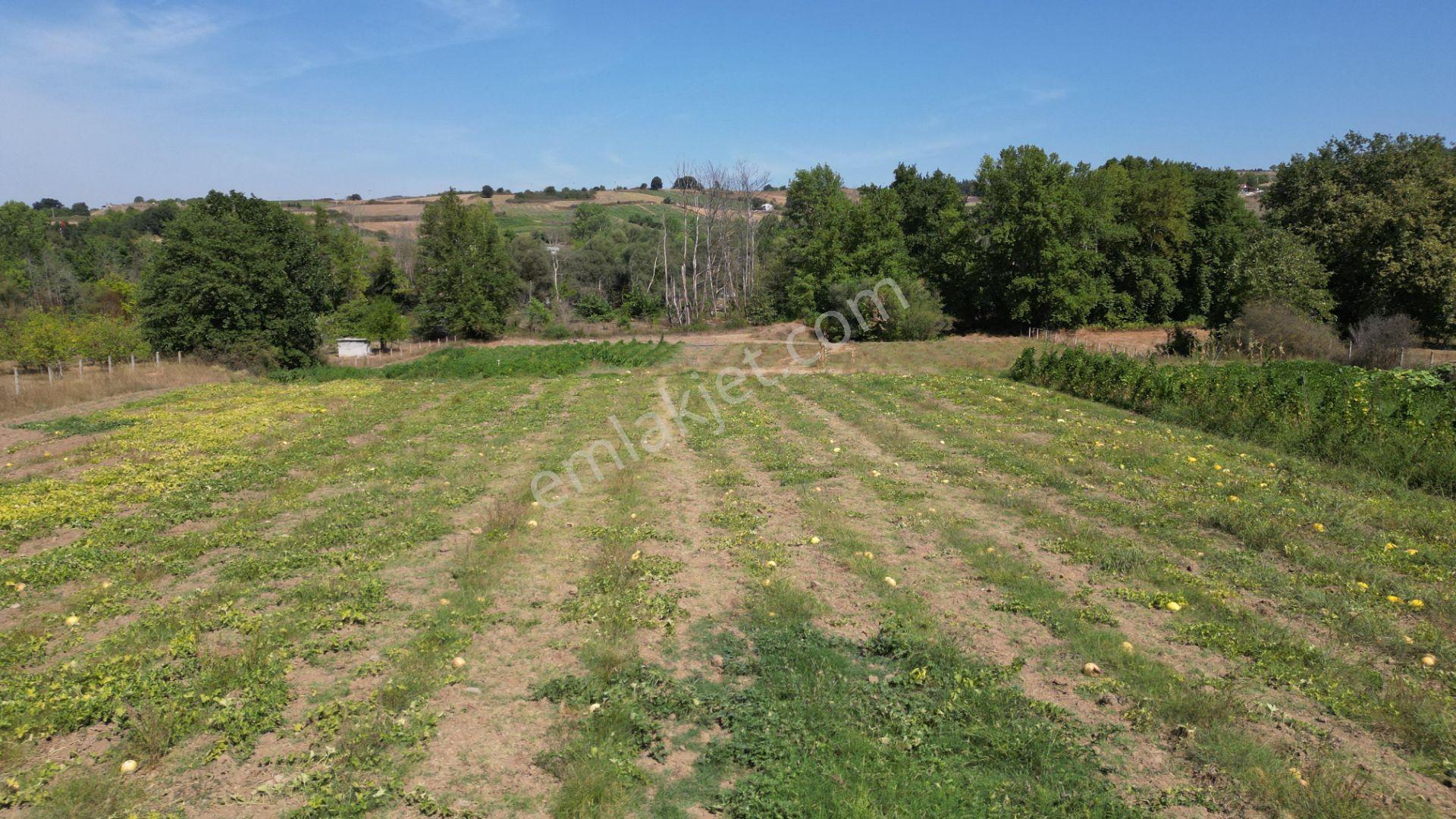 Kocaeli Karamürsel Valideköprü 10.433 M² Yatırımlık Konut İmarlı Parsel - Görsel 5