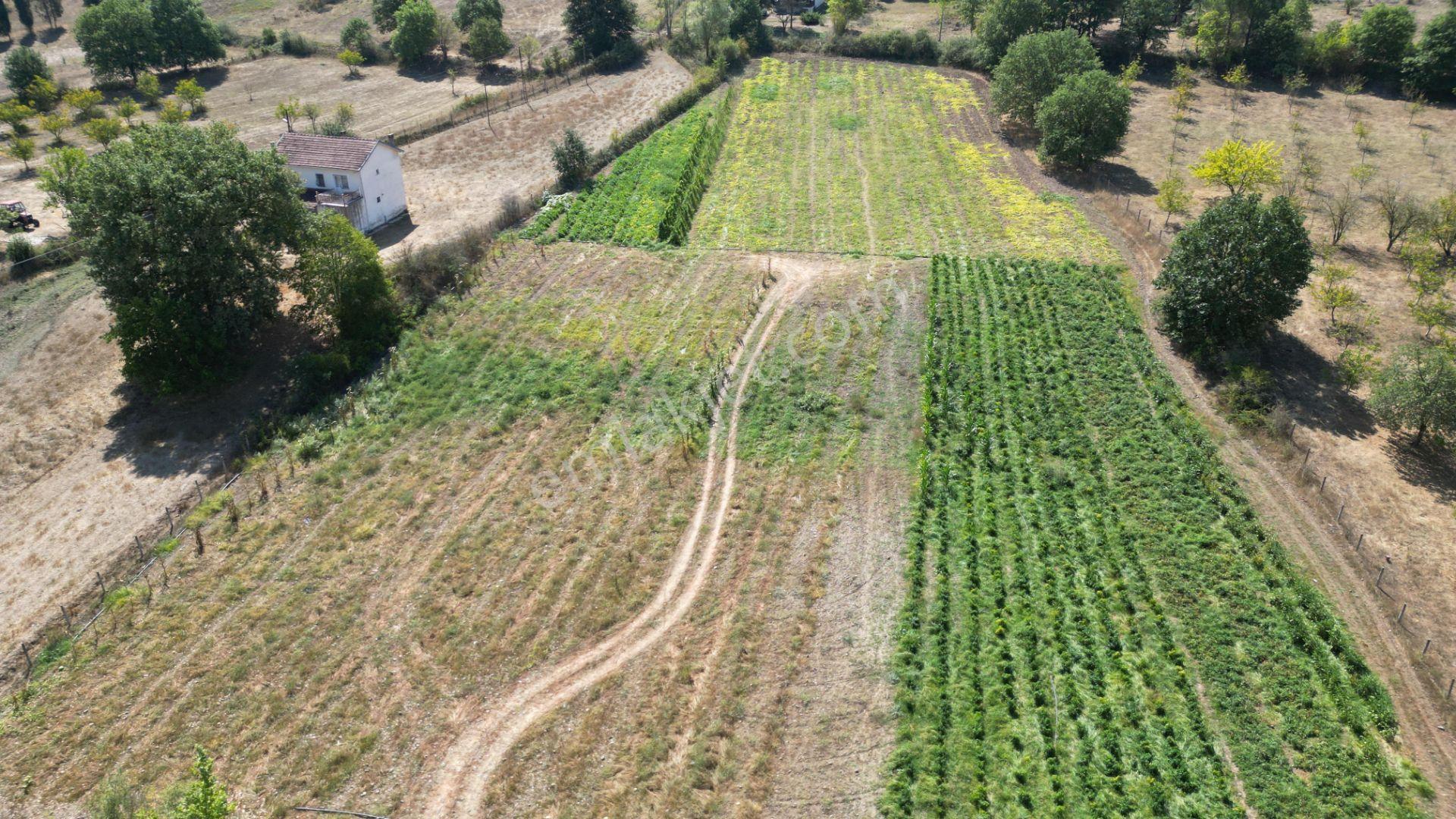 Kocaeli Karamürsel Valideköprü 10.433 M² Yatırımlık Konut İmarlı Parsel - Görsel 9