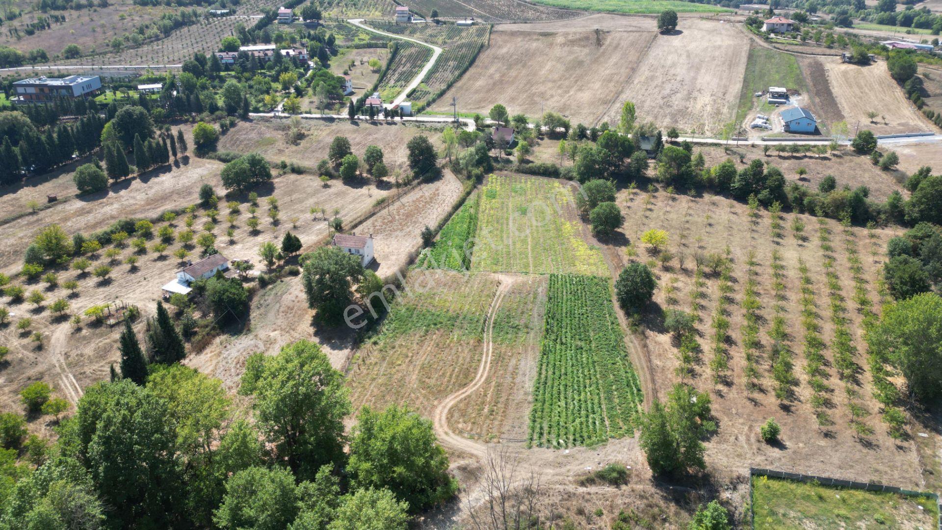 Kocaeli Karamürsel Valideköprü 10.433 M² Yatırımlık Konut İmarlı Parsel - Görsel 11