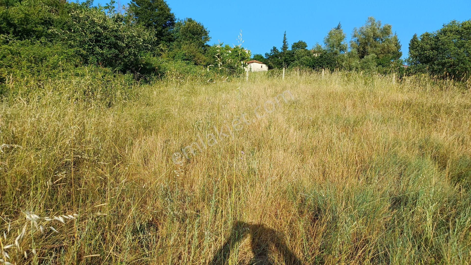Uzmanlar'dan Satılık Tarla 654 M2 Kocaeli Karamürsel Hayriye Köyü
