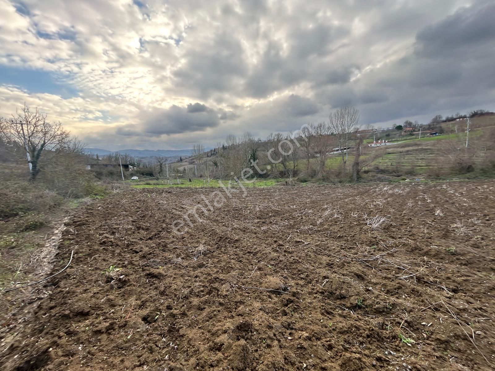 Karamürsel Yalakdere Satılık Tarla Uzmanlar Dan Satılık Tarla 2.816 M2 Kocaeli Karamürsel Yalakdere