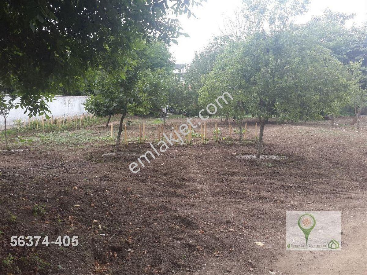 Kocaeli Karamürsel Yalakdere Satılık Müstakil Ev Ve Arsası 1901 M2 - Görsel 10