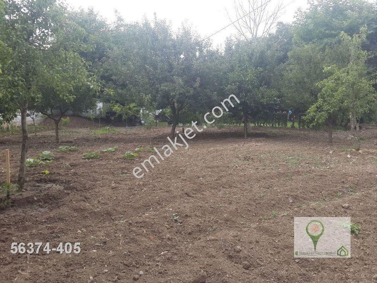 Kocaeli Karamürsel Yalakdere Satılık Müstakil Ev Ve Arsası 1901 M2 - Görsel 14