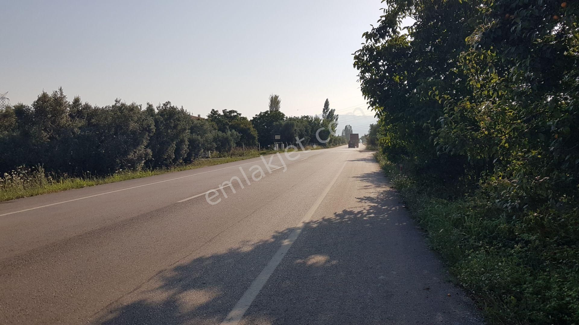 Uzmanlar'dan Satılık Arazi 1705 M2 Bursa Orhangazi Yeniköy De - Görsel 14