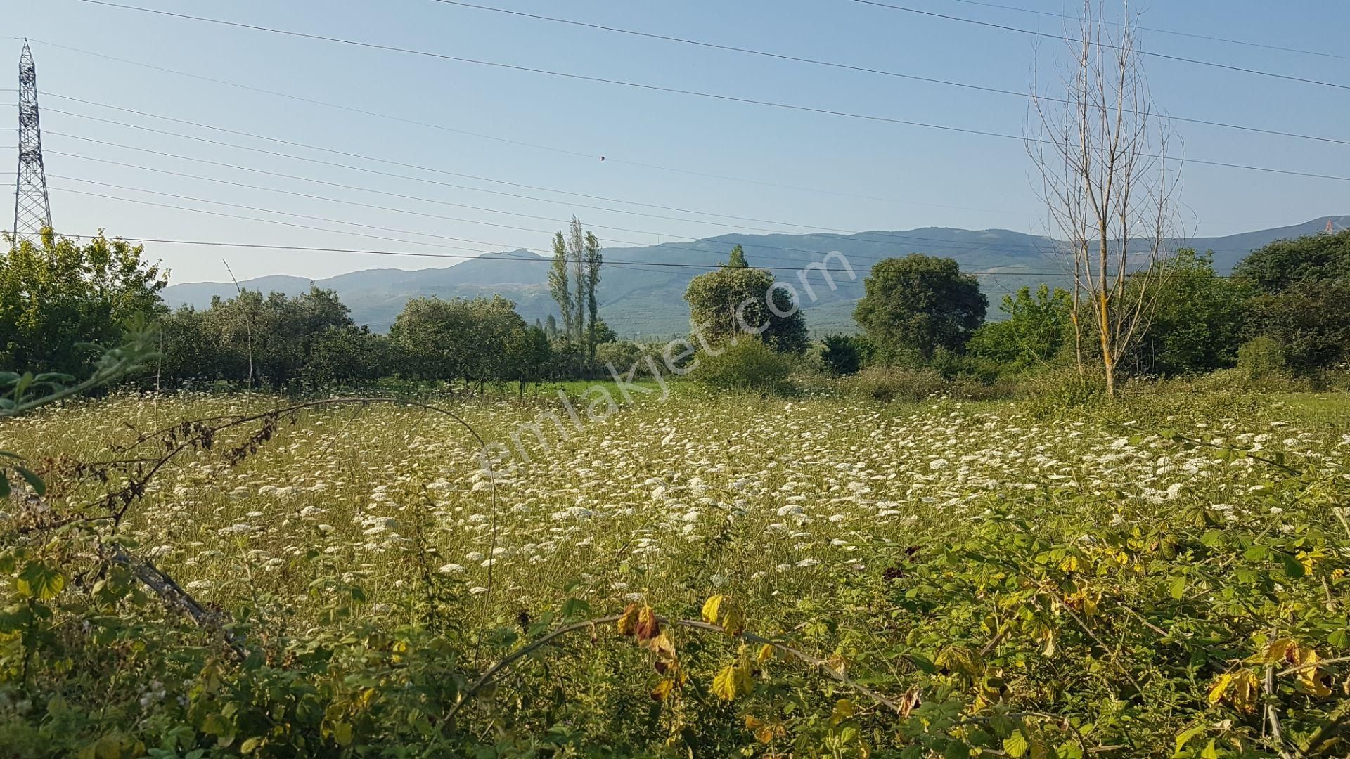 Uzmanlar'dan Satılık Arazi 1705 M2 Bursa Orhangazi Yeniköy De - Görsel 12