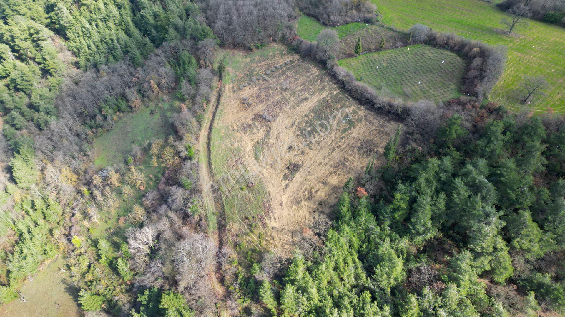 Kocaeli Karamürsel Çamdibi 6.034 M2 Satılık Tarla - Görsel 8