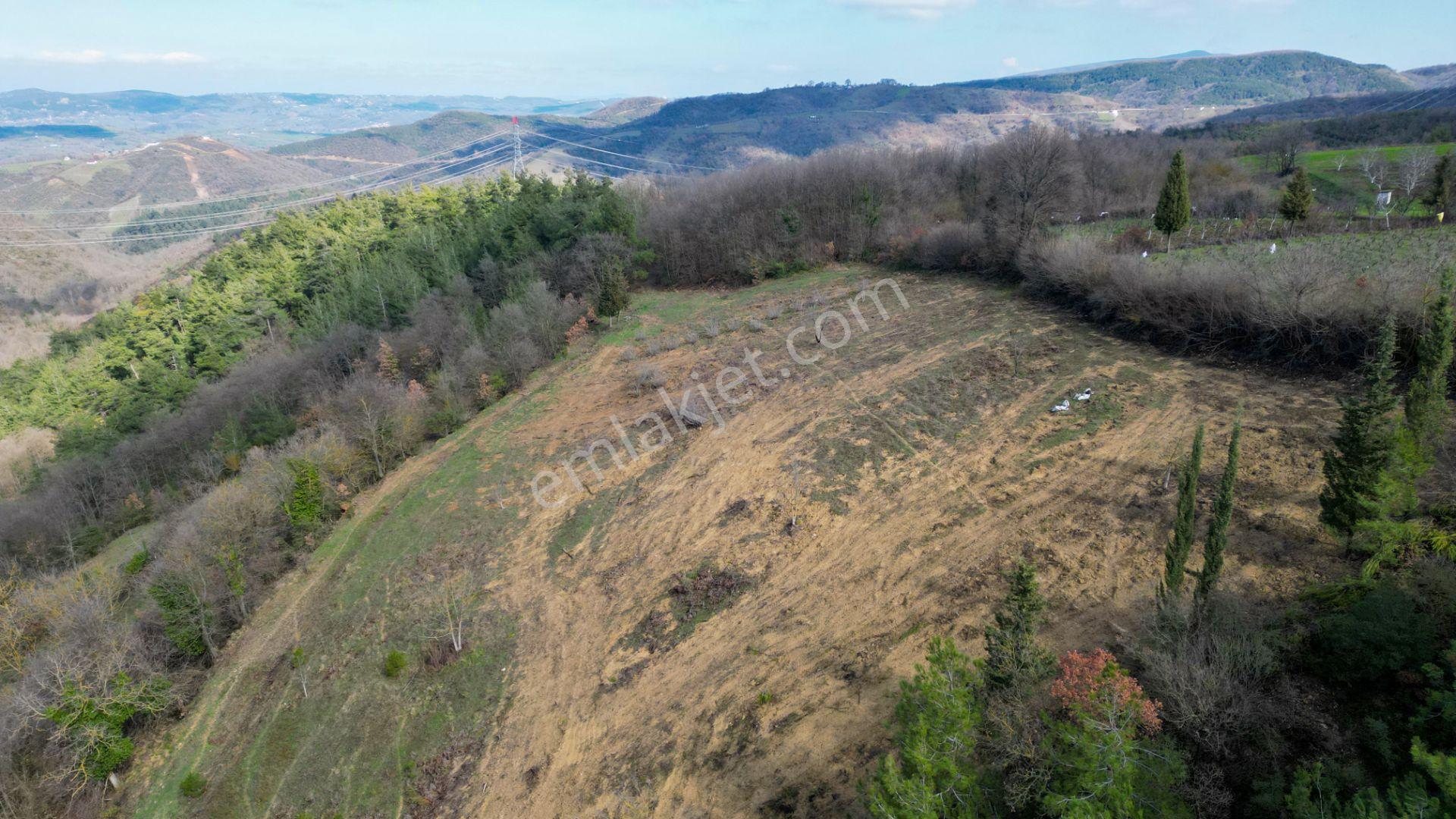 Kocaeli Karamürsel Çamdibi 6.034 M2 Satılık Tarla - Görsel 10