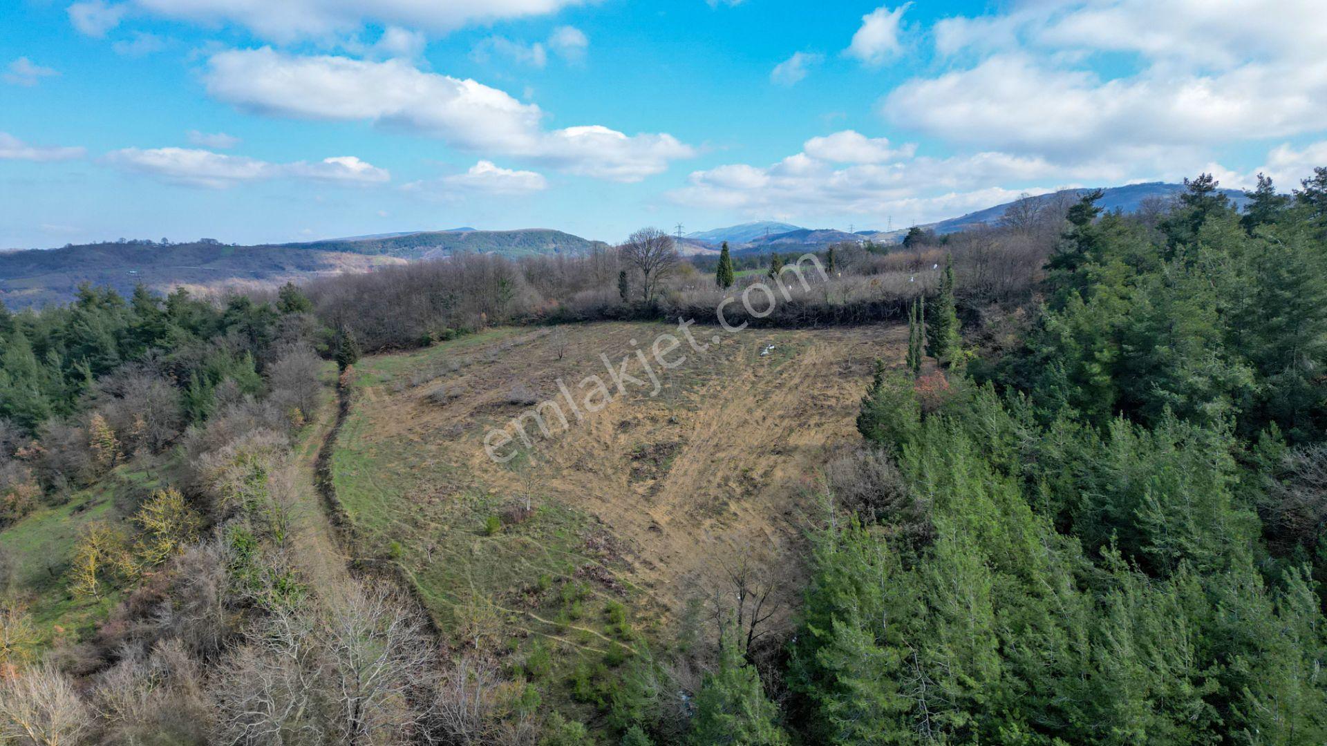 Kocaeli Karamürsel Çamdibi 6.034 M2 Satılık Tarla - Görsel 14