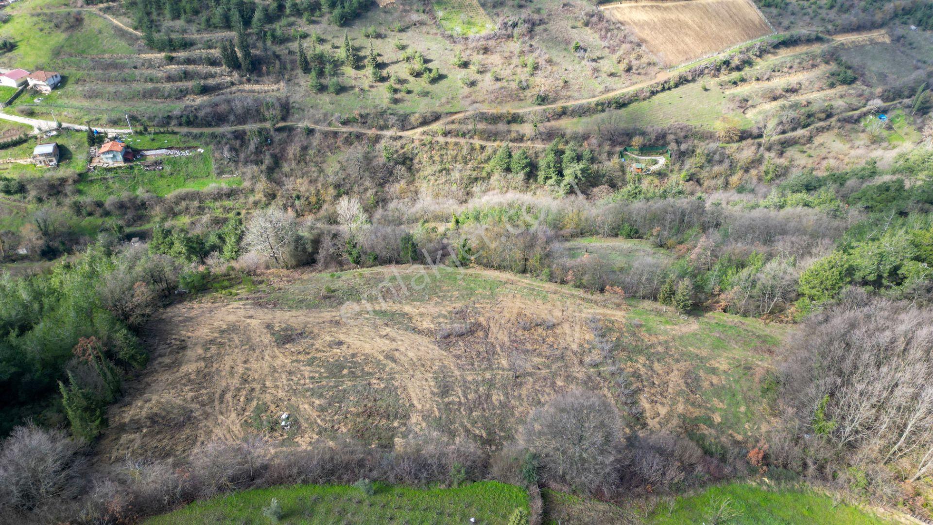 Kocaeli Karamürsel Çamdibi 6.034 M2 Satılık Tarla - Görsel 4